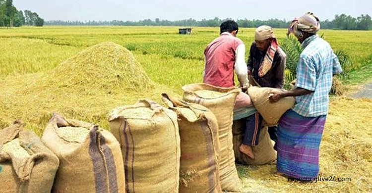 রংপুরের ৭ জেলায় এক ছটাকও ধান যায়নি খাদ্য বিভাগের গুদামে | সারা সপ্তাহের খবর