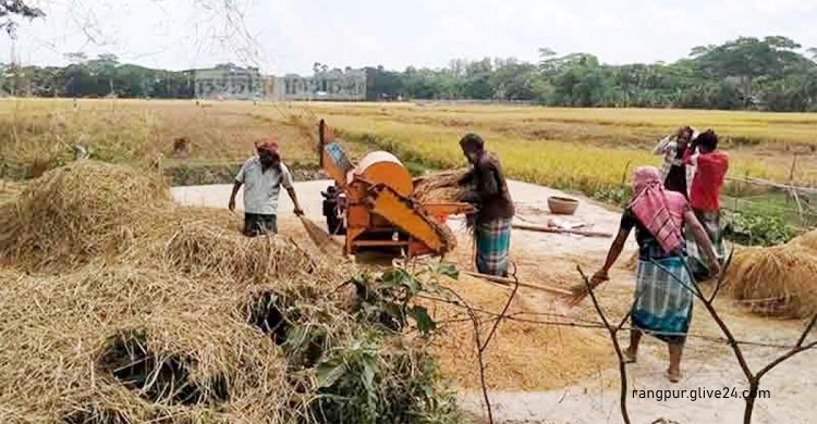 রংপুরের ৭ জেলায় এক ছটাকও ধান যায়নি খাদ্য বিভাগের গুদামে | সারা সপ্তাহের খবর
