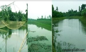 রংপুরে নদী পুনঃখননে বছরে ১২৫ কোটি টাকা মূল্যের অতিরিক্ত আমন ধান উৎপাদনের সম্ভাবনা