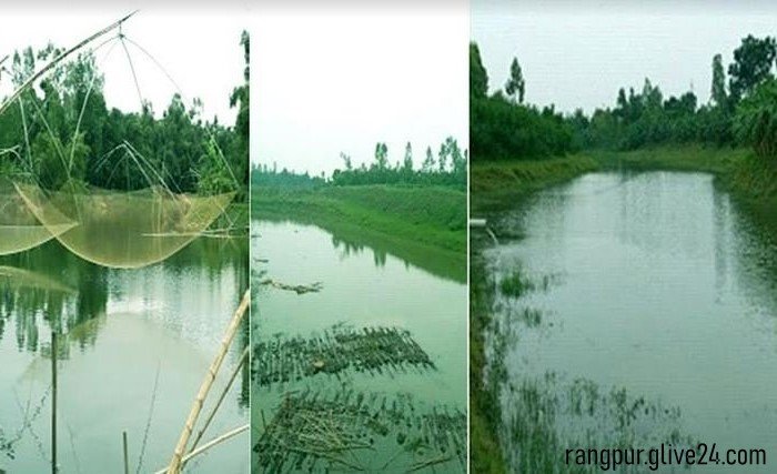 রংপুরে নদী পুনঃখননে বছরে ১২৫ কোটি টাকা মূল্যের অতিরিক্ত আমন ধান উৎপাদনের সম্ভাবনা