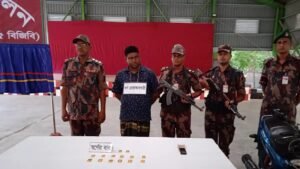 ১৪০ ভরি ওজনের ১৪টি সোনার বার জব্দ করেছে বিজিবি